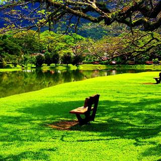 Best place wallpaper