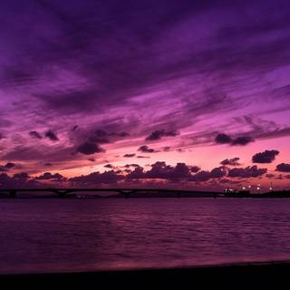 Sunset pink wallpaper