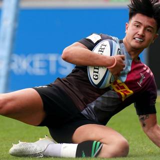 Harlequins rugby wallpaper