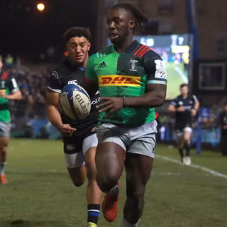 Harlequins rugby wallpaper