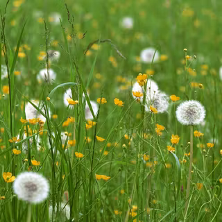 Spring 3840x1080 wallpaper