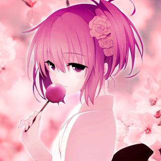 Pink flower anime desktop wallpaper