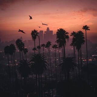 Los Angeles sunset wallpaper