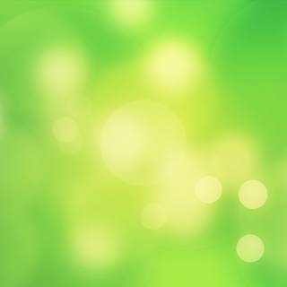 Green spring wallpaper