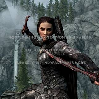 Skyrim characters wallpaper