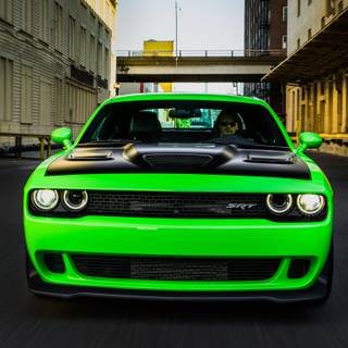 Green Hellcat wallpaper