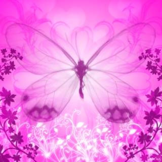 Aesthetic butterfly laptop pink wallpaper