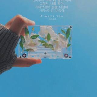 Cute Kpop aesthetic wallpaper