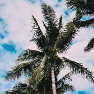 Simple Easter laptop wallpaper