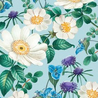 Flower 2022 wallpaper