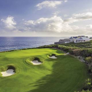 Pure paradise wallpaper