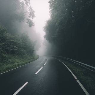 Foggy road wallpaper