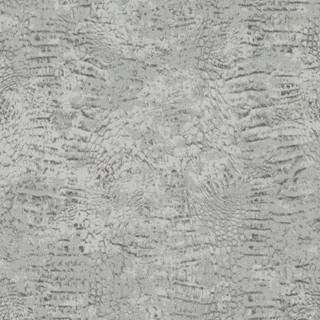 Roberto Cavalli wallpaper