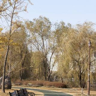 Summer South Korea wallpaper