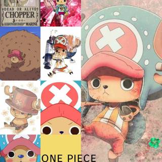 Chopper Wanted wallpaper
