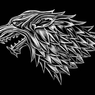 House Stark HD phone wallpaper