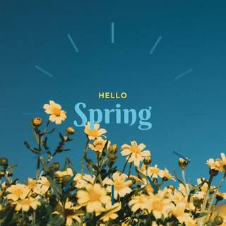 Laptop spring aesthetic wallpaper