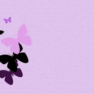 Orange and purple butterfly wallpaper