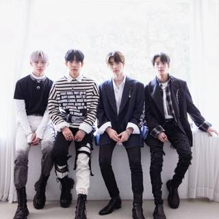 Enhypen photoshoot wallpaper