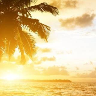 Twitter cover wallpaper