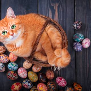 Kittens Easter wallpaper