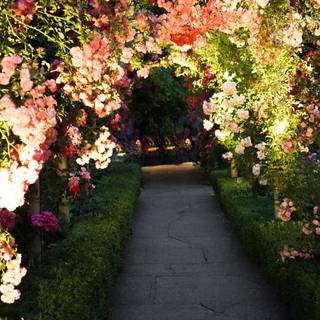 Flower road wallpaper