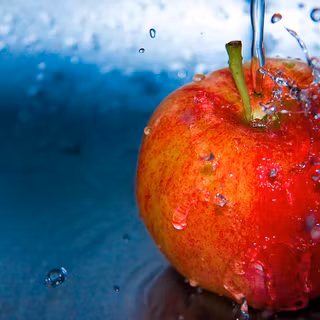 Gastronomy wallpaper