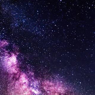 Pink night wallpaper