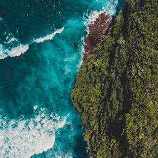 Cute aesthetic preppy summer wallpaper