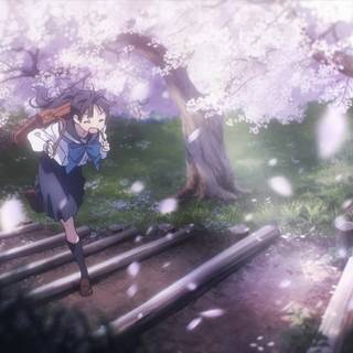 Akebi's Sailor Uniform wallpaper