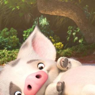 Pig iPhone wallpaper