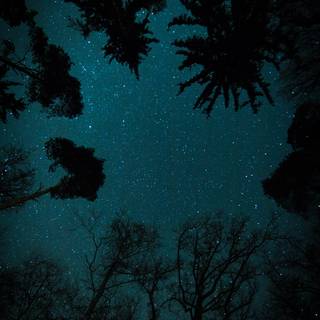 Night seen wallpaper