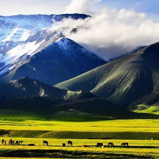 Xinjiang wallpaper
