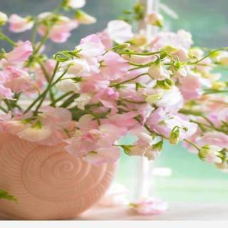 Spring flowers vase wallpaper