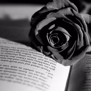 Black aesthetic PC flowers wallpaper