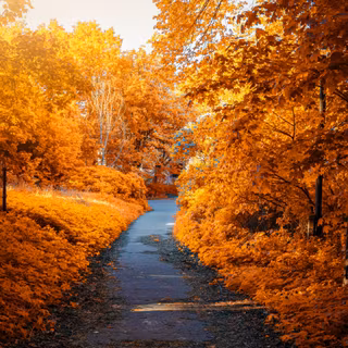 Anime autumn 4k wallpaper