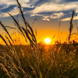 Hot weather wallpaper