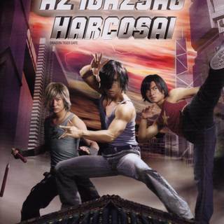 Dragon Tiger Gate wallpaper