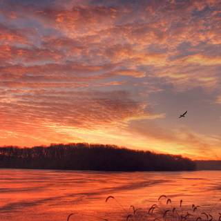 Spring field and lakes wallpaper