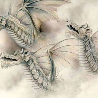 Skeleton Dragon wallpaper