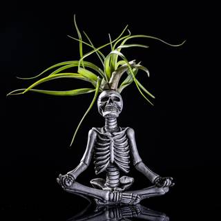 Human bones wallpaper