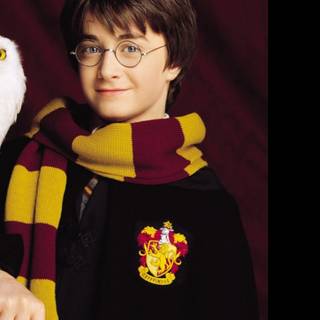 Harry Potter Hedwig wallpaper