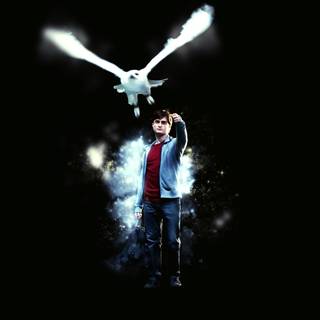Harry Potter Hedwig wallpaper