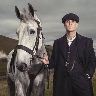 Peaky Blinders with horse wallpaper