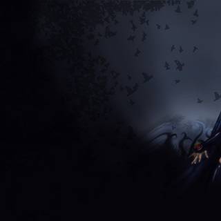 DC women characters wallpaper