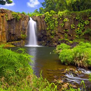 Spring garden waterfall wallpaper