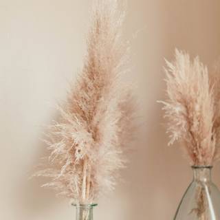 Clear aesthetic wallpaper