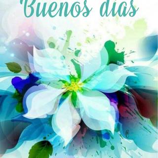 Buenos Días wallpaper
