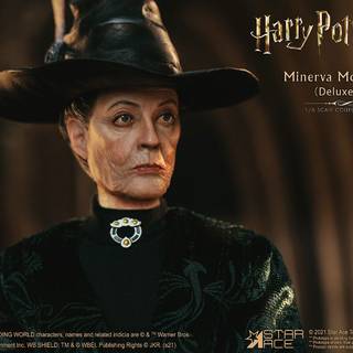 Professor Minerva McGonagall wallpaper