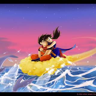 Chi Chi DBZ wallpaper